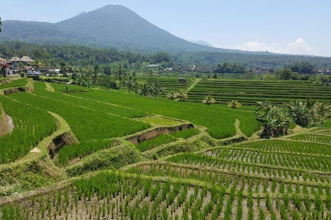 Private 4-Day Tours - Best Bali Tours Package - Best of Bali Highlights - Day 2 north Bali: Wanagiri Hidden Hills, Banyumala Twin Waterfalls, Ulun Danu Bratan, Jatiluwih rice terraces
