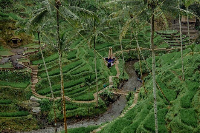 Private 4-Day Tours - Best Bali Tours Package - Best of Bali Highlights - What to watch for: walking, weather, and monkey moments