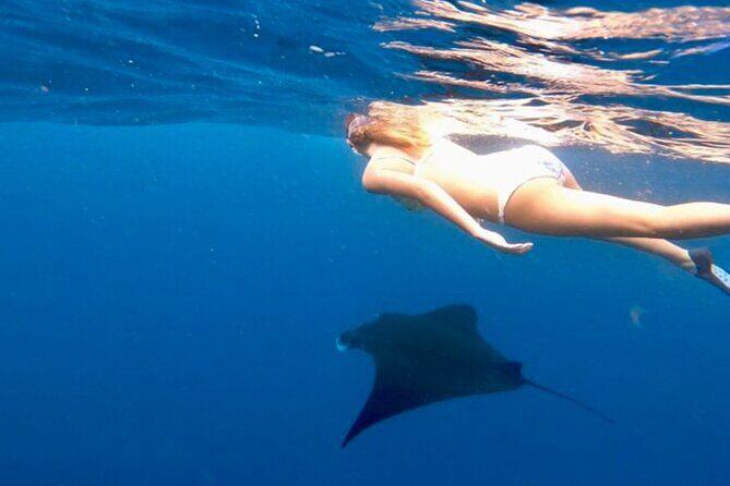 Private All Inclusive Nusa Penida Snorkeling and Tour - Getting from Kuta to Sanur Harbour without drama