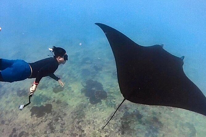 Private All Inclusive Nusa Penida Snorkeling and Tour - Broken Beach and Angel’s Billabong: calm water, big photos, real snorkeling time