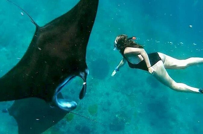 Private All Inclusive Nusa Penida Snorkeling and Tour - Price and value: what $128 really covers