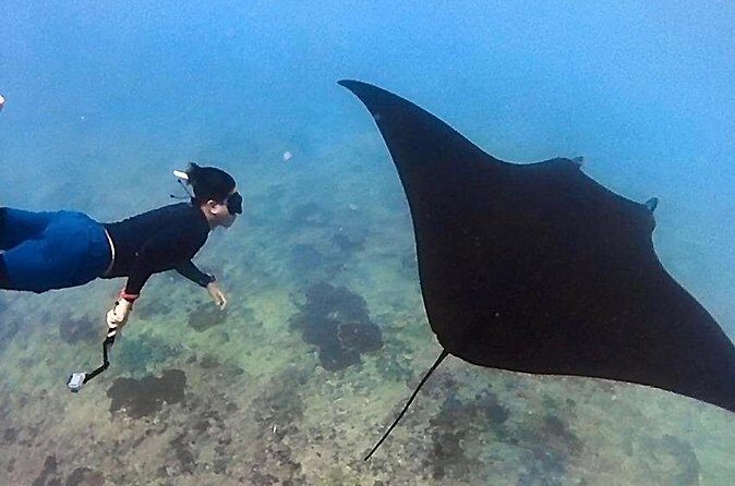 Private All Inclusive Nusa Penida Snorkeling and Tour - Who this tour fits best (and who should choose carefully)