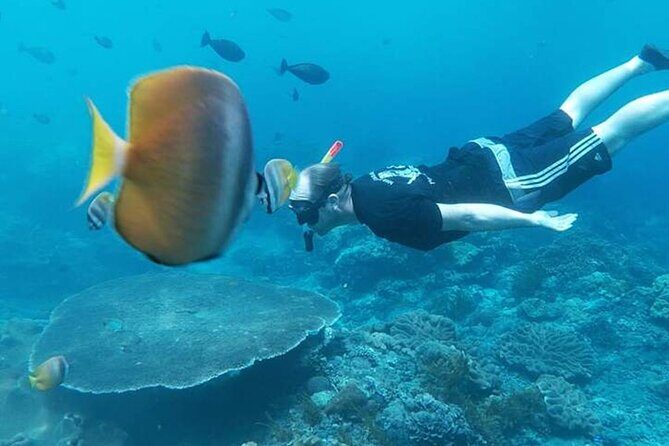 Private All Inclusive Nusa Penida Snorkeling and Tour - Manta Point snorkeling: the main reason this tour is worth it