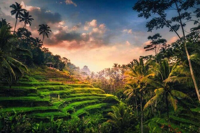Private Bali Tour with Lisensed Bali Driver - Stop 4: Tirta Empul Temple and the temple-water experience
