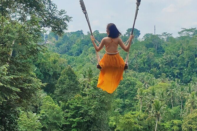 Private Bali Tour with Lisensed Bali Driver - The driver experience: pacing, suggestions, and feeling looked after