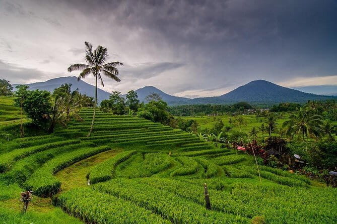 Private Chartered Car to Bali Temples With Besakih Temple - What you get in the car: Wi‑Fi, water, and a driver who explains real Bali