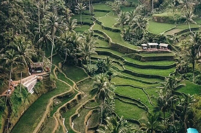 Private Customized Tour with Local Guide - How to make the 10 hours feel smooth (not squeezed)