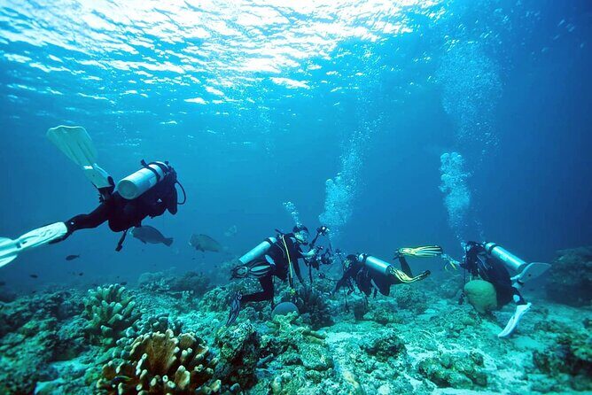 Private Diving Experience in Nusa Dua with Hotel Pick Up - Hotel pickup rules: Nusa Dua and Jimbaran only