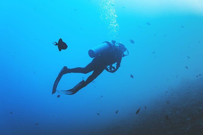 Private Diving Experience in Nusa Dua with Hotel Pick Up - Stop 2: Tanjung Benoa option and the one-hour-with-a-break structure