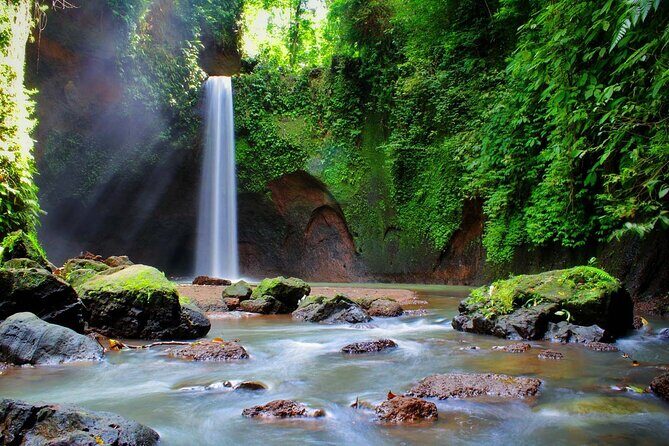 Private Inclusive Tour: The Best Of Ubud With Jungle Swing - East Bali icons, Ubud culture, and the photo stops that make it worth the time