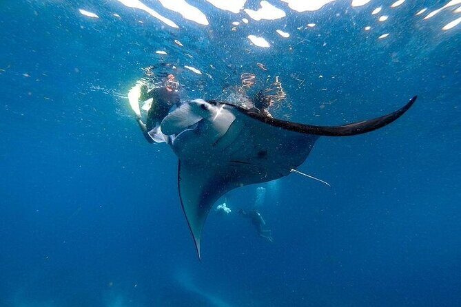 PRIVATE Nusa Penida on Boat Snorkeling & Island Tour (INCLUSIVE) - Key Highlights You’ll Care About
