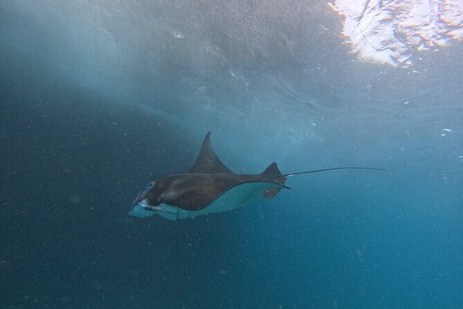 PRIVATE Nusa Penida on Boat Snorkeling & Island Tour (INCLUSIVE) - Penida Cliffs on Private Land: Kelingking, Broken Beach, Angel’s Billabong