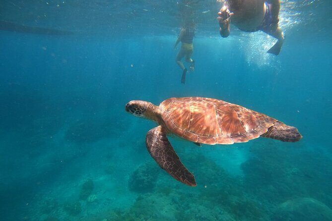 Private Snorkeling in Manta Bay, Gamat Bay & Wall at Nusa Penida - Key Highlights You’ll Actually Care About