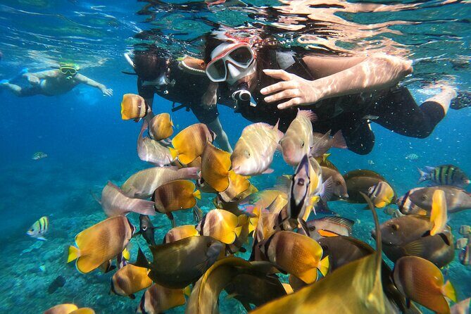 Private Snorkeling in Manta Bay, Gamat Bay & Wall at Nusa Penida - Kuta to Sanur and Over: How the Timing Works