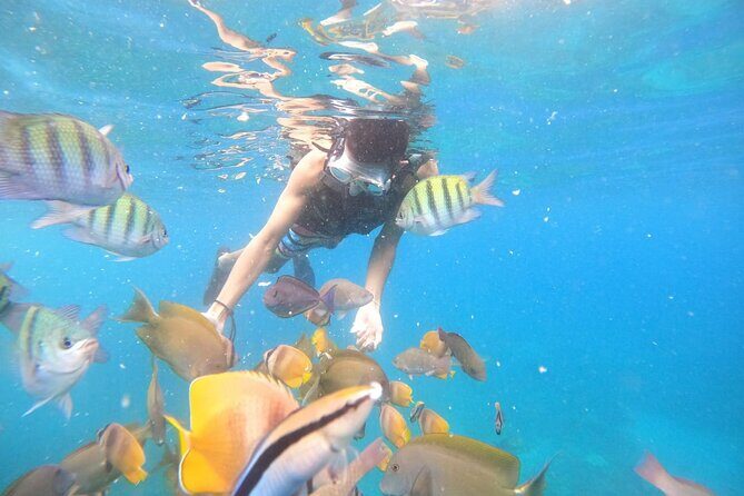 Private Snorkeling in Manta Bay, Gamat Bay & Wall at Nusa Penida - Manta Bay: The Famous Stop With a Realistic Plan