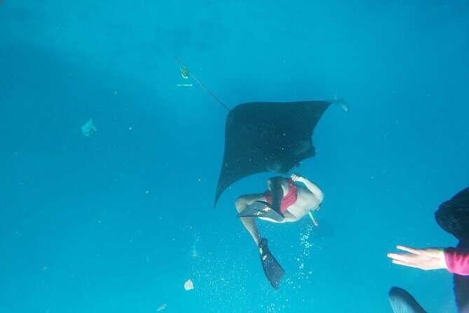 Private Snorkeling in Manta Bay, Gamat Bay & Wall at Nusa Penida - Gamat Bay: Where Your Fish-Spotting Skills Get Tested