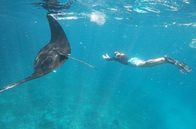 Private Snorkeling in Manta Bay, Gamat Bay & Wall at Nusa Penida - Crystal Bay and the Wall Point Area: Short Sessions, Good Watching