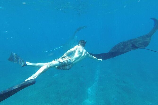 Private Snorkeling in Manta Bay, Gamat Bay & Wall at Nusa Penida - Lunch at the Harbor: The Calm Reset Between Stops
