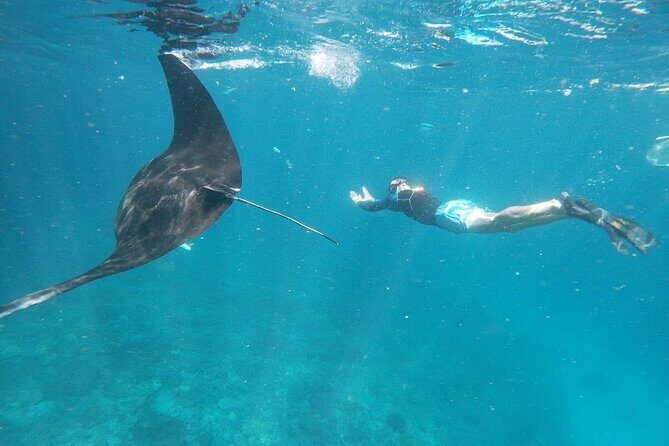 Private Snorkeling in Manta Bay, Gamat Bay & Wall at Nusa Penida - Price and Value: Is $115 a Good Deal for Nusa Penida Snorkeling?