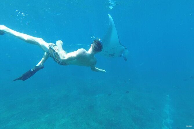 Private Snorkeling in Manta Bay, Gamat Bay & Wall at Nusa Penida - Weather Reality: How to Stay Confident When the Sea Acts Up