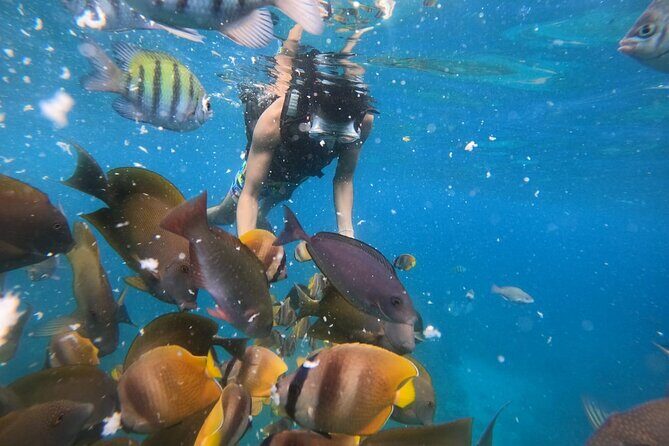 Private Snorkeling in Manta Bay, Gamat Bay & Wall at Nusa Penida - Your Private Snorkel Boat and Instructor: What You’re Really Paying For