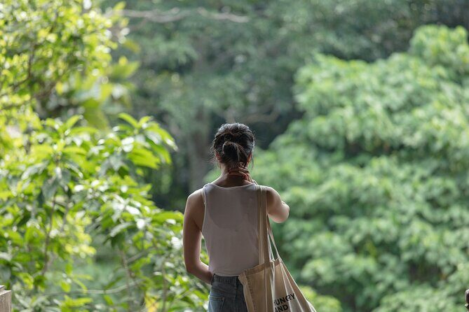 Private Tour : Bali Best Waterfalls, Temples and Monkey Forest - Elephant Cave Temple: don’t let the name trick you