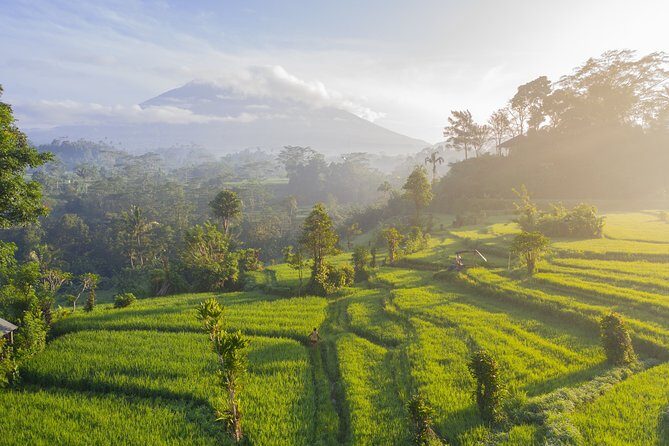 Private Tour: Bali Temple and Countryside Tour - Ulun Danu Bratan Temple on the Lake: The Iconic Postcard with a Purpose