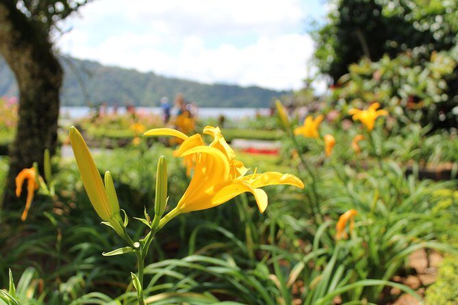 Private Tour: Bali Temples, Hidden Waterfall and Handara Gate - Ulun Danu Bratan Temple: the lake-and-mountain postcard moment