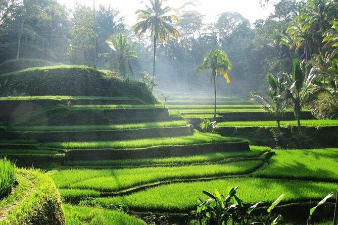 Private Tour: Batuan Temple, Tegenungan Waterfall, Elepahant Cave Free transport - Mas Wood Carving Center: see Bali craft in motion