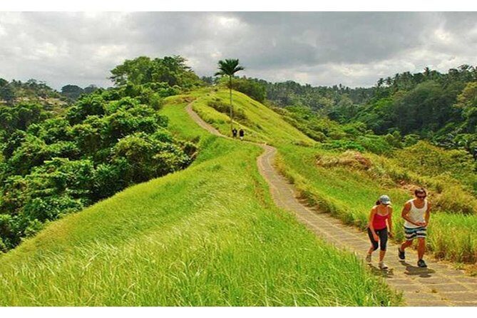 Private Tour: Campuhan Ridge Walk, Ubud Rice Terrace & Ubud Palace - Key Highlights You’ll Care About