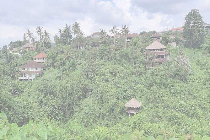 Private Tour: Campuhan Ridge Walk, Ubud Rice Terrace & Ubud Palace - Campuhan Ridge Walk: Bukit Cinta and That Calm Valley Feeling