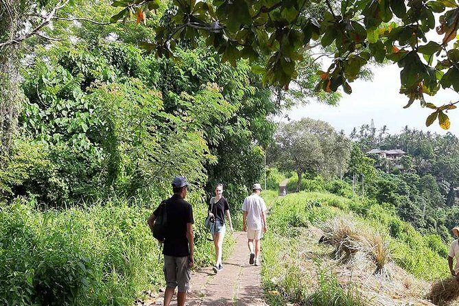 Private Tour: Campuhan Ridge Walk, Ubud Rice Terrace & Ubud Palace - Pasar Seni Ubud (Art Market): Buy Useful Souvenirs Without Overthinking