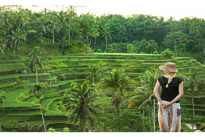 Private Tour: Campuhan Ridge Walk, Ubud Rice Terrace & Ubud Palace - Price and Value: What $25 Covers for an 8-Hour Day