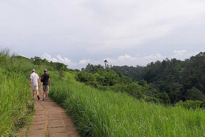 Private Tour: Campuhan Ridge Walk, Ubud Rice Terrace & Ubud Palace - Ubud Palace: Where Traditional Dance Culture Gets a Real Stage