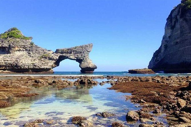 Private tour : East of Nusa Penida Day Tour All-inclusive - Stop 3: Molenteng hill views and the Tree House moment