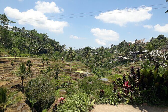 Private tour in Ubud country side - From Kuta Pickup to Ubud Countryside: How the Day Flows