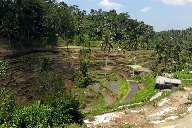 Private tour in Ubud country side - Ubud Center and the Royal Palace Area
