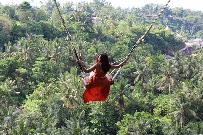 Private Tour : Individual costumize route with FREE - WIFI - Tegenungan Waterfall: Green Views, Swim Time, and Photo Ops