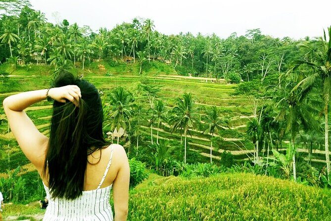 Private Tour : Mt. Batur View, Rice Terrace, Waterfall & More. - Mt. Batur and Lake Batur: The View Stop You Came For
