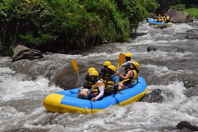 Private Tour Rafting Uluwatu Kecak Dance Sunset and Dinner in Jimbaran Bay - Value check: what you get for $30.40 and what costs extra