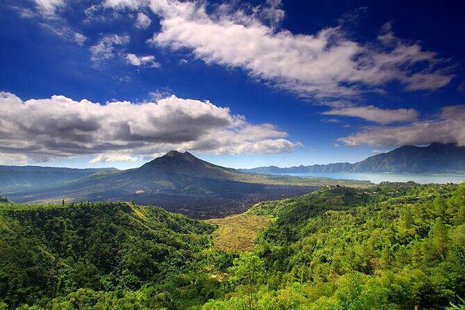 Private Tour: Waterfall, Kintamani Volcano, Ubud Tour with Lunch - Kintamani and Ubud in One Long Day: What This Tour Is Really Good For