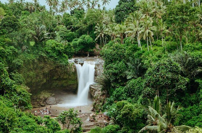 Private Ubud Day Tour Waterfalls Sacred Monkeys and Rice Fields - Sacred Monkey Forest Sanctuary: temples and playful macaques