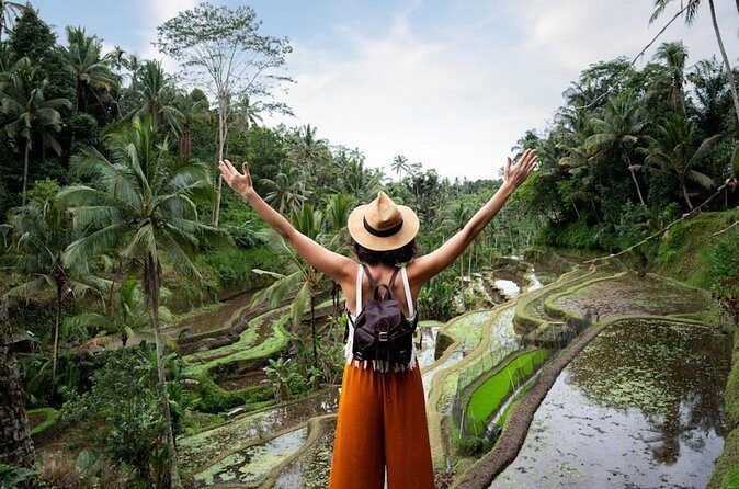 Private Ubud Day Tour Waterfalls Sacred Monkeys and Rice Fields - Price and value: what $27 buys when admissions are included