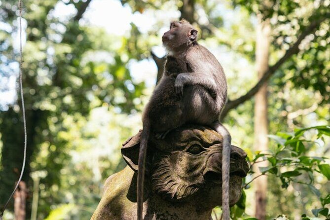 Private Ubud Day Tour Waterfalls Sacred Monkeys and Rice Fields - Sahadewa Barong Dance & Fire Dance: the story you’ll keep hearing about