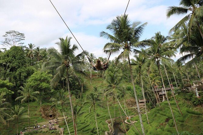Private Ubud Tour Package - The big idea: why a private Ubud loop from Kuta feels easier