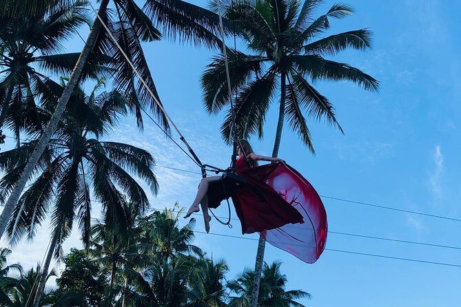 Private Ubud Tour with Hidden Waterfalls - Price and Logistics: What $38.98 Covers (and What It Doesn’t)