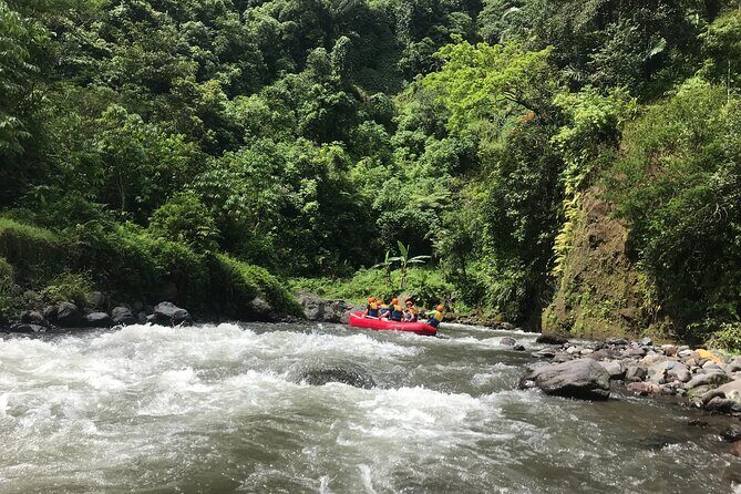 Rafting Adventure 18 km and Balinese Village Life Tour with Lunch - Village time in Klungkung: rice fields, family compounds, and daily life
