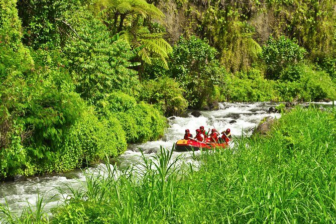 Rafting Adventure 18 km and Balinese Village Life Tour with Lunch - Balinese family-style lunch: eating in a private home