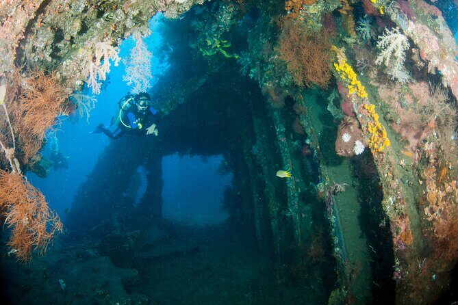 Sanur Open Water Course learn diving in 3 Days - Get certified & Dive everywhere - Timing, Meeting Point, and Weather Reality Check