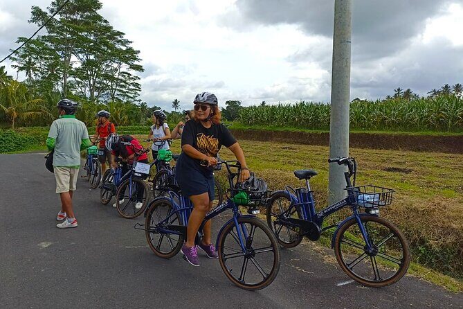 Sanur Village E-bike Tour: Family-Friendly Adventure - Sanur Village on Two Wheels: the real reason to pick this tour
